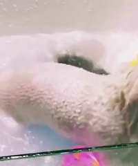 ����ѩ����ճ�����