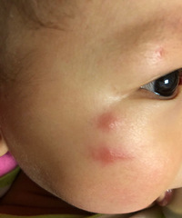 �������·��������ź���