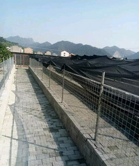 ̨�ݾ���Ȯ��רҵ��ë��ֳ�������ѵ��