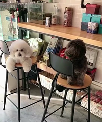 С����С����