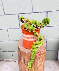 �������