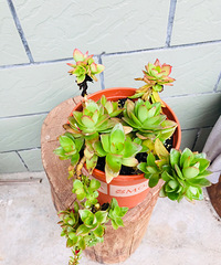 �������