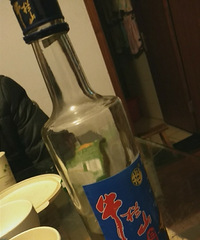 ����ϼ��������