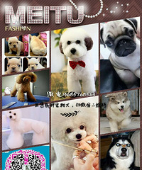 ���۸��ֳ���Ȯ���н�С�ͳ���Ȯ����