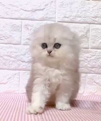 ����2���½�����ĸһ��