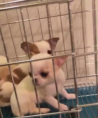 ����2���¼�������ĸһ��