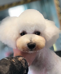 �ȳ��Ա��ļ���������ݡ�ϴ��������