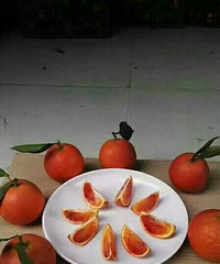 吃个血橙睡觉
