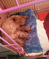 ������ë̩�ϱ�����������