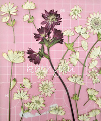 2018第一板压花