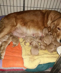 ������ë̩�ϱ�����������