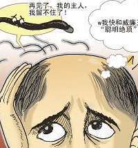 "洋葱生发【瑞丽诗】"
