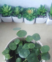 ���Ǹ��Ҿ�ϲ��