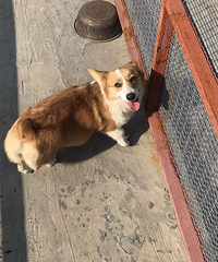 ��������С���Ƚ���Ԥ����