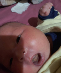 ��ѯ���� 23��Ӥ������̦