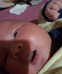 ��ѯ���� ��æ������û�б���