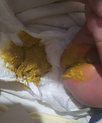 ��ѯ���� ��æ������û�б���