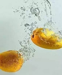 "芒果虽然好吃,但是有些食物还是不能一起同食的"