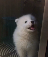 ������������Ħ ������ȫ