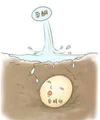 "早孕孕酮低,怎么办?"