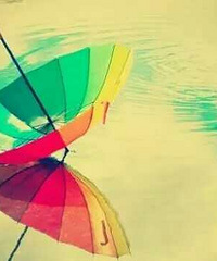 �ټ���������