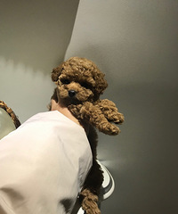 ��ĸһ��������̩�ϵͼ۵ͼۺܵͼۣ�����צ