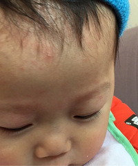 9���±�������4�����t��