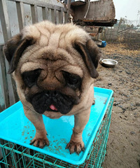 С����͸繫����