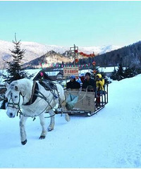 冬天去看雪,不一定非雪乡不可。