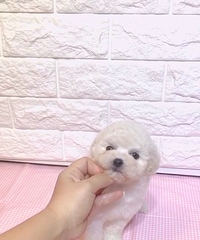 ����3������߰�̩������