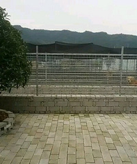 ̨�ݱ��ؾ���Ȯ���������