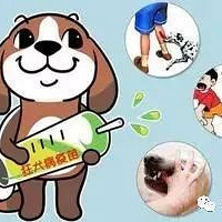 "痛心!嘉兴9岁男孩狂犬病发作,全身肌肉阵发性抽搐,只因他.."