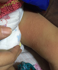 �����������ϳ����˺�ɫС�� ��������