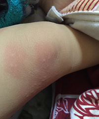 �����������ϳ����˺�ɫС�� ��������