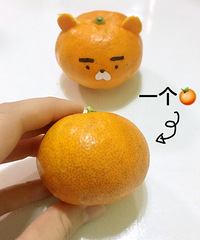 用橘子画一只熊