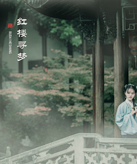 红楼寻梦