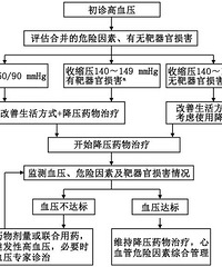 "中国老年高血压共识最新发布!"