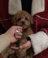 ���ܵ������³�ͷ�����������ޣ���ʣ��һ