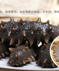 "辽东半岛淡干海参(北辰道) 年货活动了 走过不要错过"