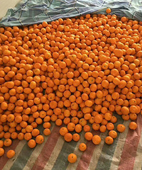 ӿȪ��ɽ�۽�