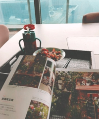 郑爽豪宅内景曝光,摆满卡通物件满满文艺范儿(图)