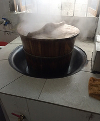 太精致了 农村850买的小猪仔每天吃煮好的米糠!