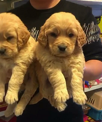 �����ؼ۽�ë666