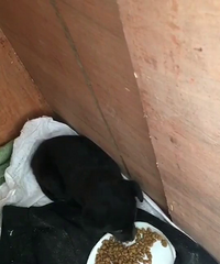 ��ô����ص�С�����ټ����������������ؼ�ô��
