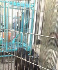 ���ۻ���ţ��500