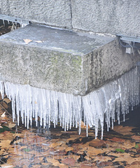 杭州主城区下雪了!和两年前的今天真没法比啊!