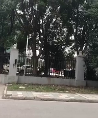 ���ڰ���������