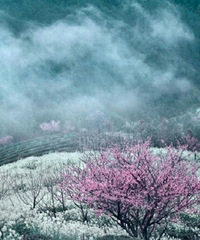 18��ĵ�һ��ѩ