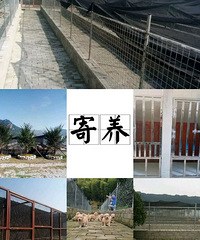 רҵȮ��ӳ������