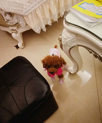 �Ǳ�����Ьˤ�˺ܶ��